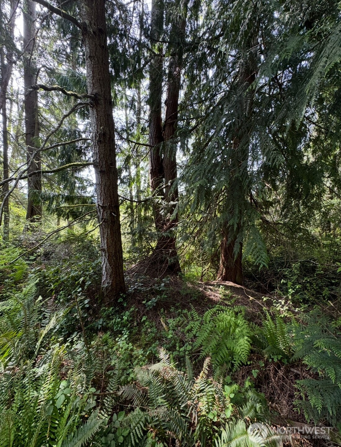 11106 Spruce Drive Anderson Island WA 98303