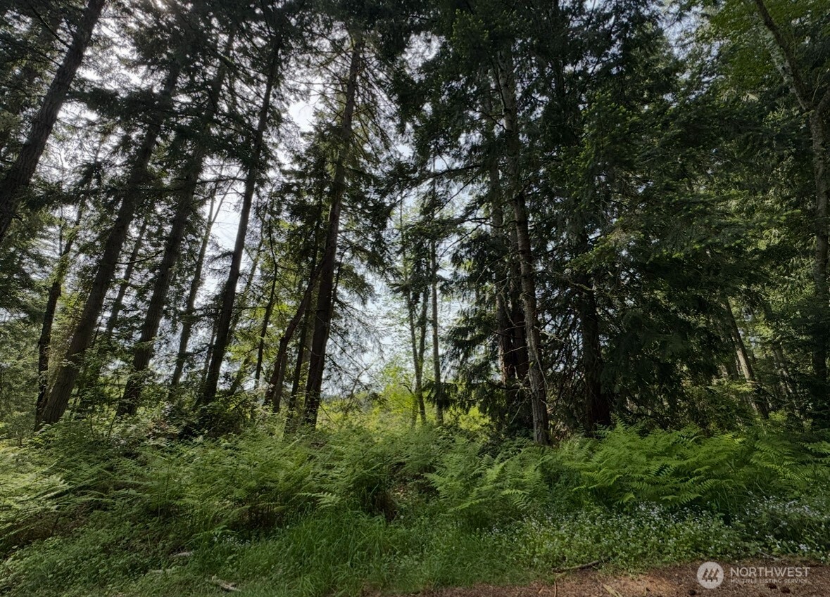11106 Spruce Drive Anderson Island WA 98303