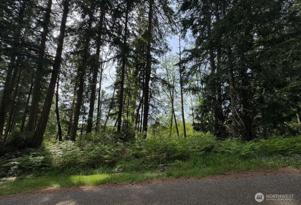 11106 Spruce Drive Anderson Island WA 98303