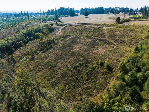 31807 NE 122nd Avenue Battle Ground WA 98604