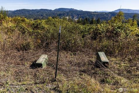 31807 NE 122nd Avenue Battle Ground WA 98604