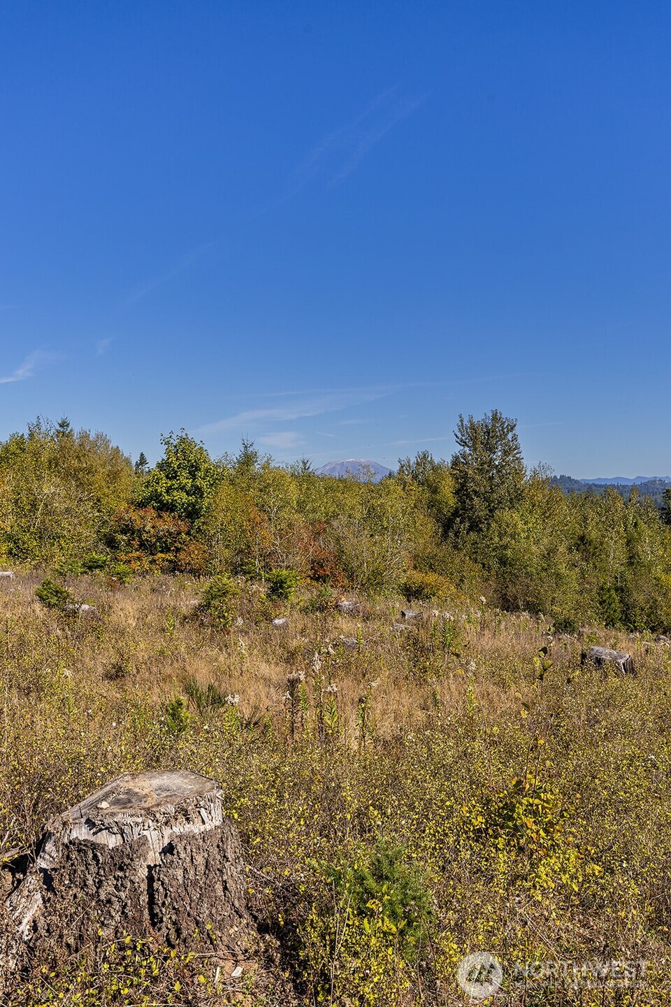 31807 NE 122nd Avenue Battle Ground WA 98604
