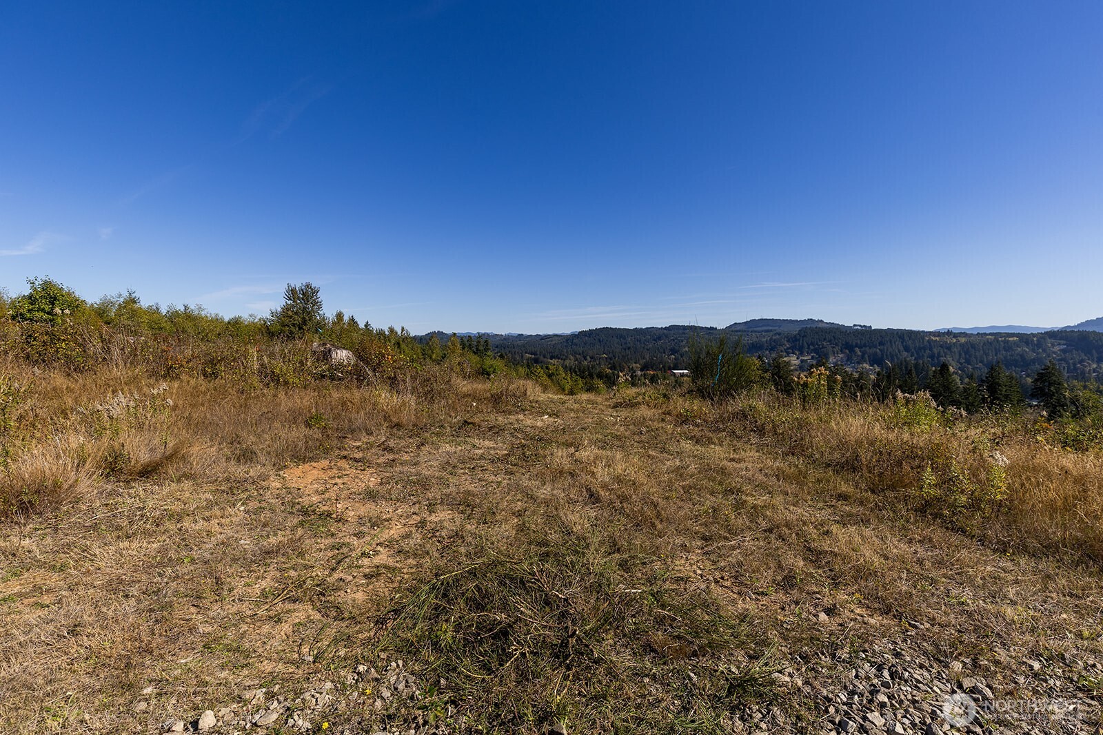 31807 NE 122nd Avenue Battle Ground WA 98604