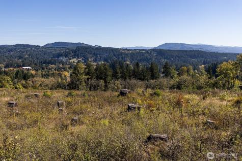 31807 NE 122nd Avenue Battle Ground WA 98604