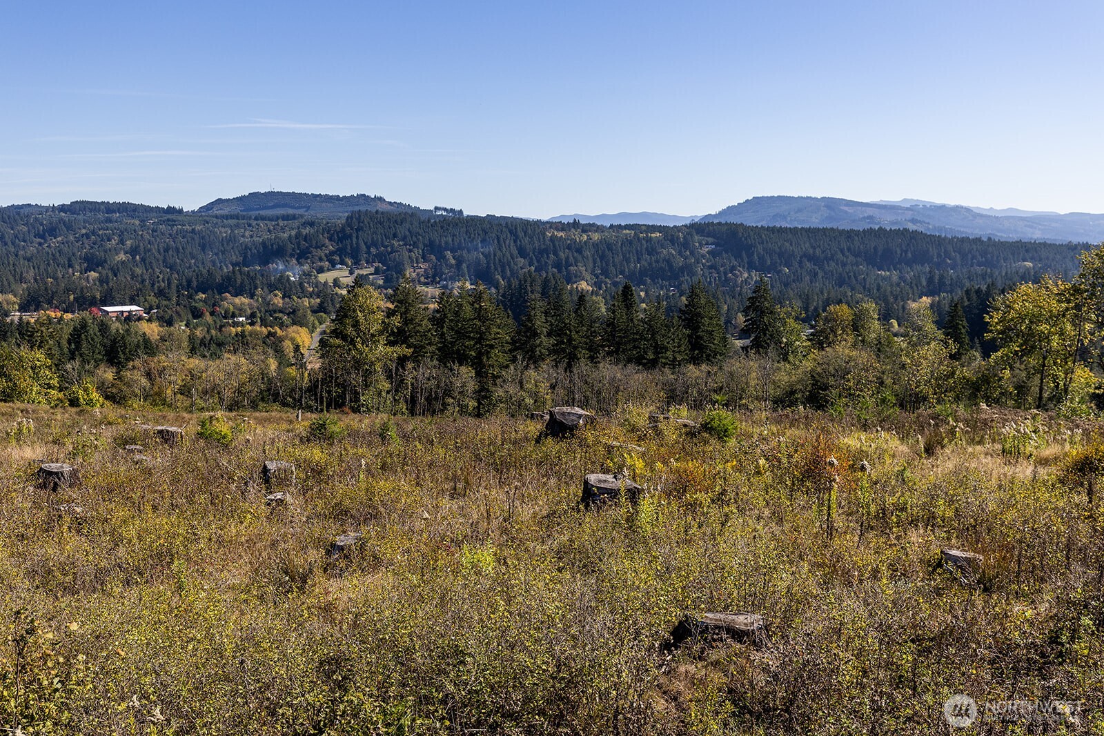 31807 NE 122nd Avenue Battle Ground WA 98604