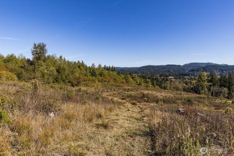 31807 NE 122nd Avenue Battle Ground WA 98604