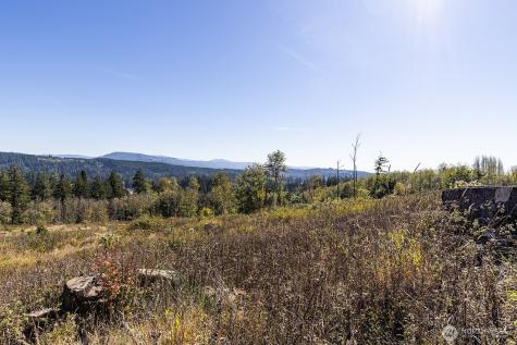 31807 NE 122nd Avenue Battle Ground WA 98604