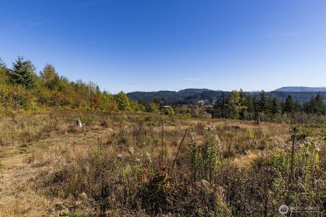 31807 NE 122nd Avenue Battle Ground WA 98604
