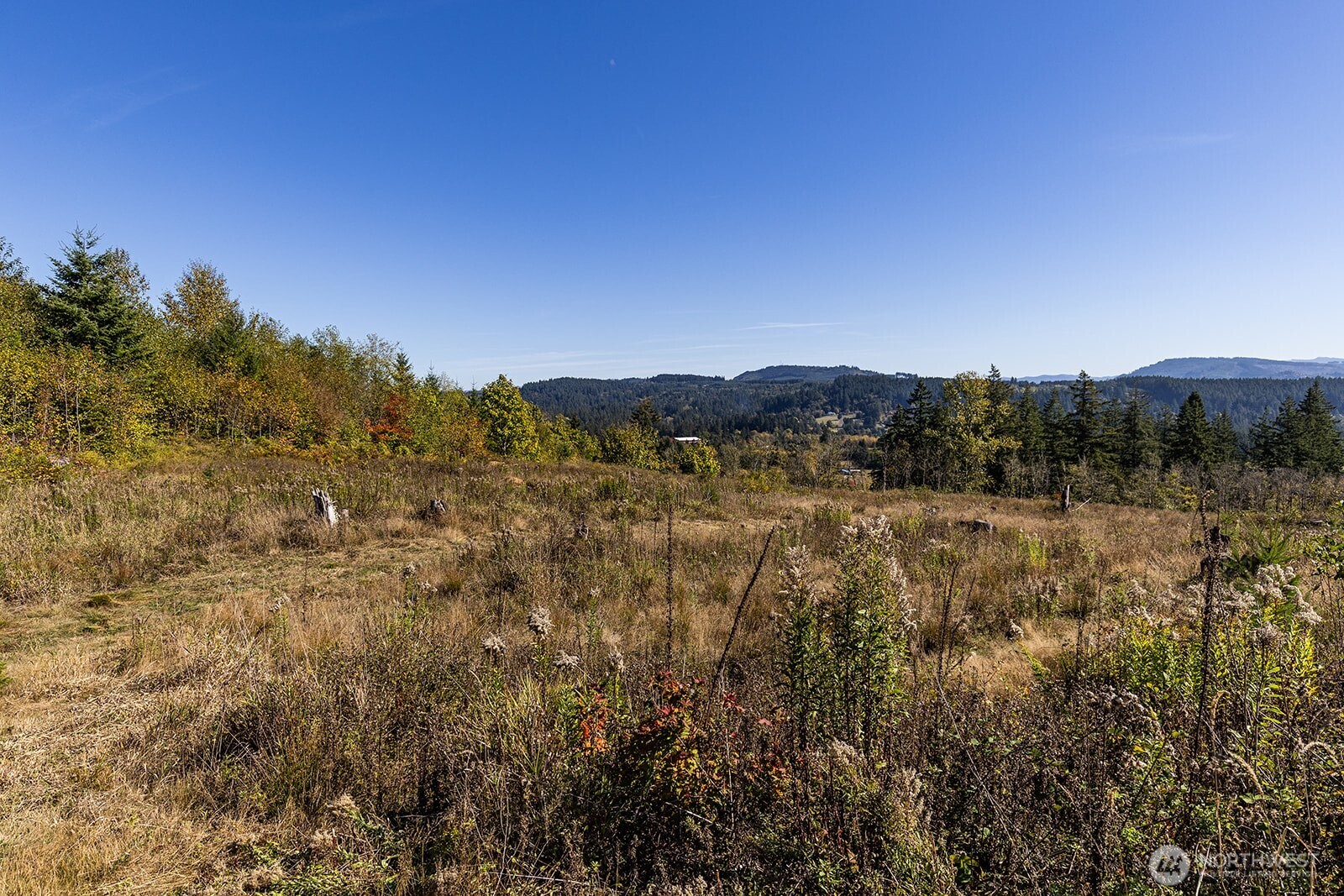 31807 NE 122nd Avenue Battle Ground WA 98604