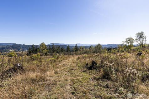 31807 NE 122nd Avenue Battle Ground WA 98604