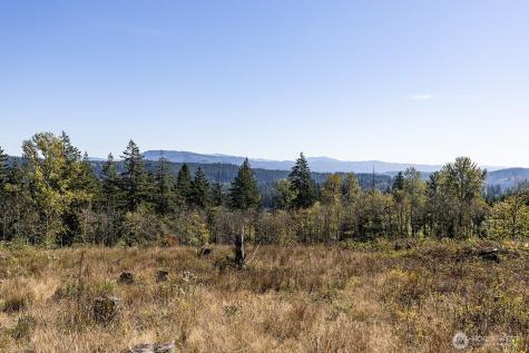 31807 NE 122nd Avenue Battle Ground WA 98604