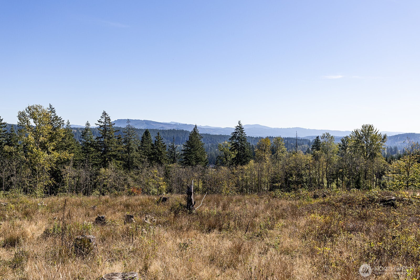 31807 NE 122nd Avenue Battle Ground WA 98604