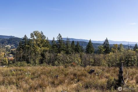 31807 NE 122nd Avenue Battle Ground WA 98604