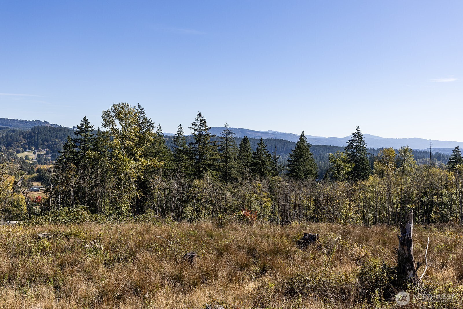 31807 NE 122nd Avenue Battle Ground WA 98604