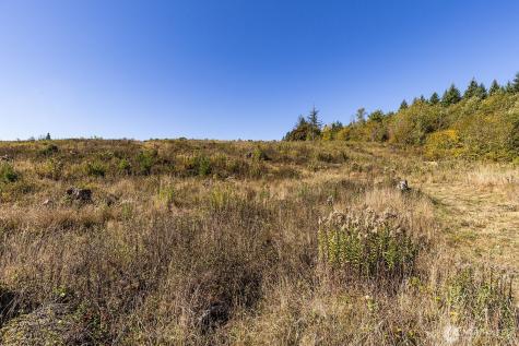 31807 NE 122nd Avenue Battle Ground WA 98604