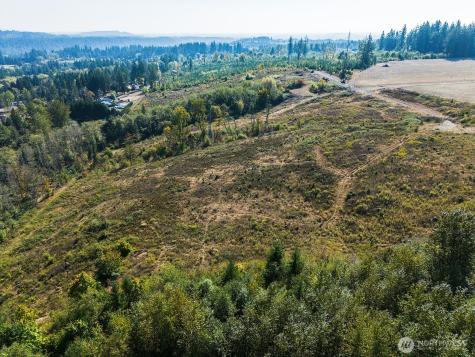 31807 NE 122nd Avenue Battle Ground WA 98604