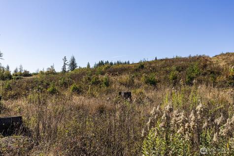 31807 NE 122nd Avenue Battle Ground WA 98604