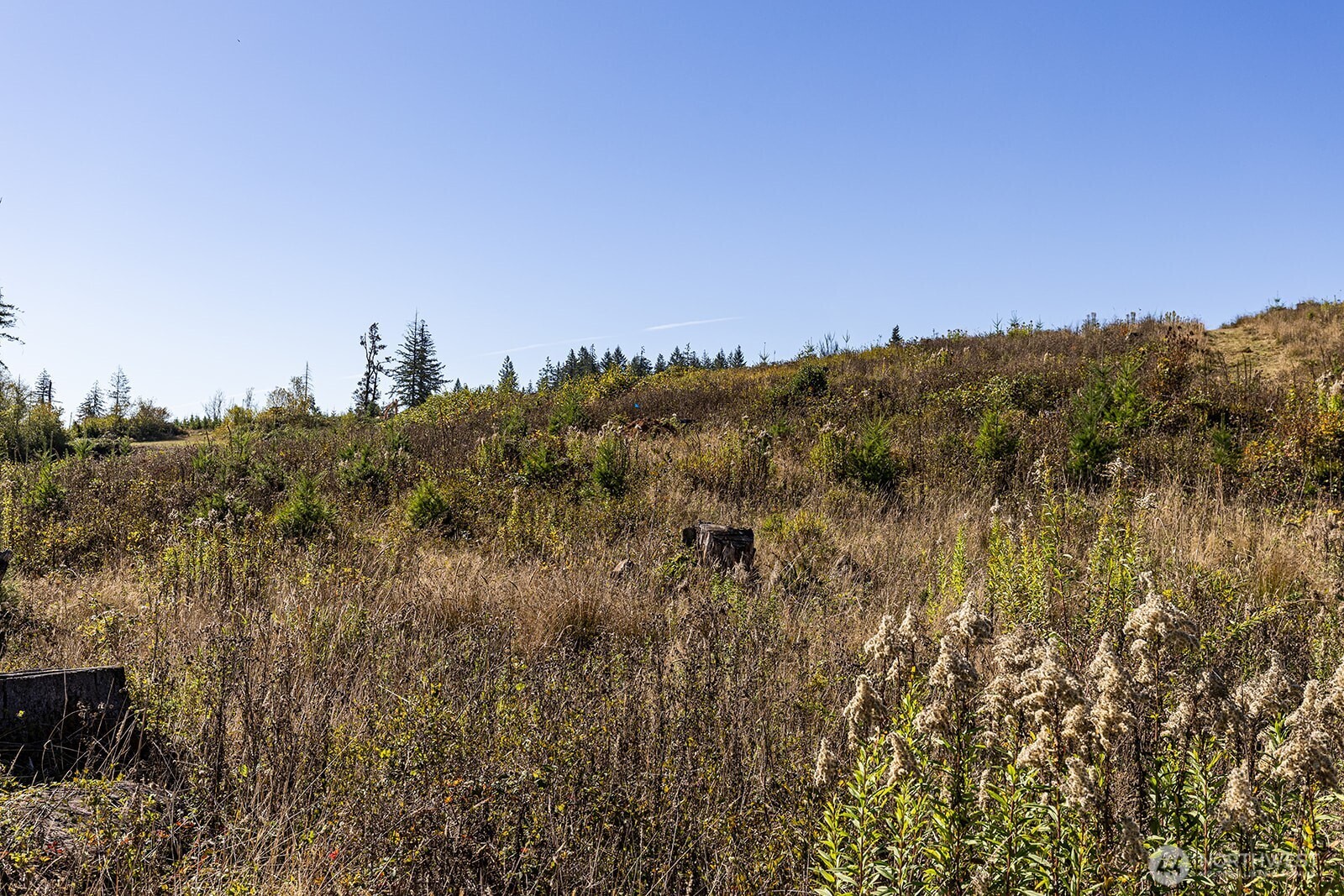 31807 NE 122nd Avenue Battle Ground WA 98604