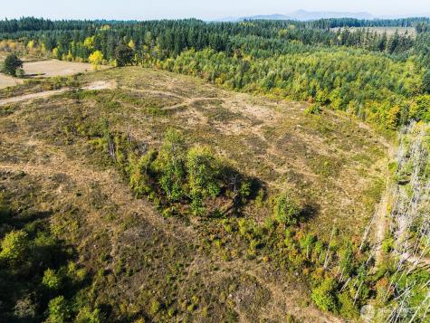 31807 NE 122nd Avenue Battle Ground WA 98604