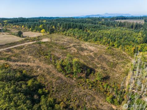 31807 NE 122nd Avenue Battle Ground WA 98604