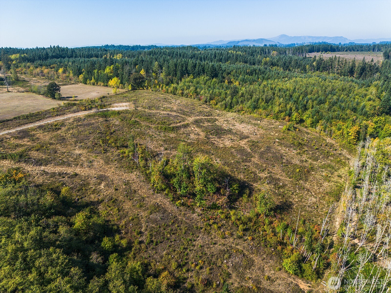 31807 NE 122nd Avenue Battle Ground WA 98604