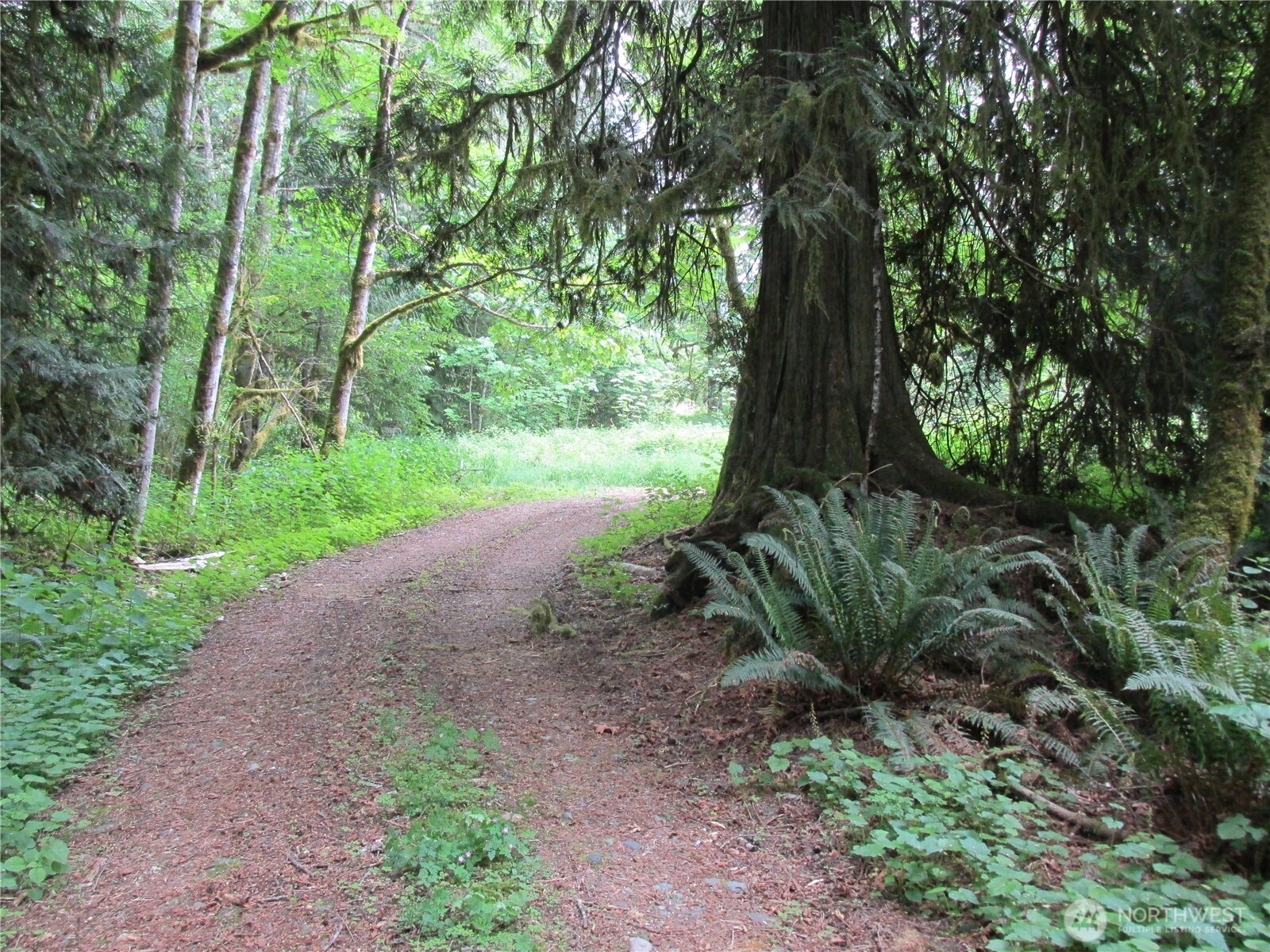 0 Arnold Lane Concrete WA 98237