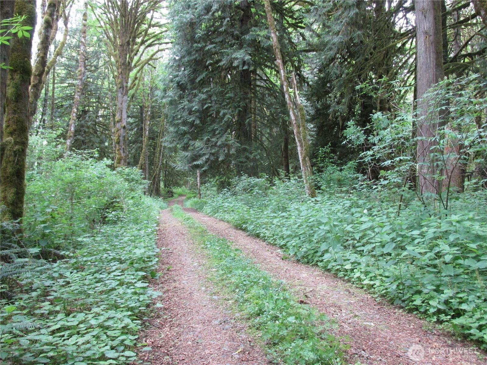 0 Arnold Lane Concrete WA 98237