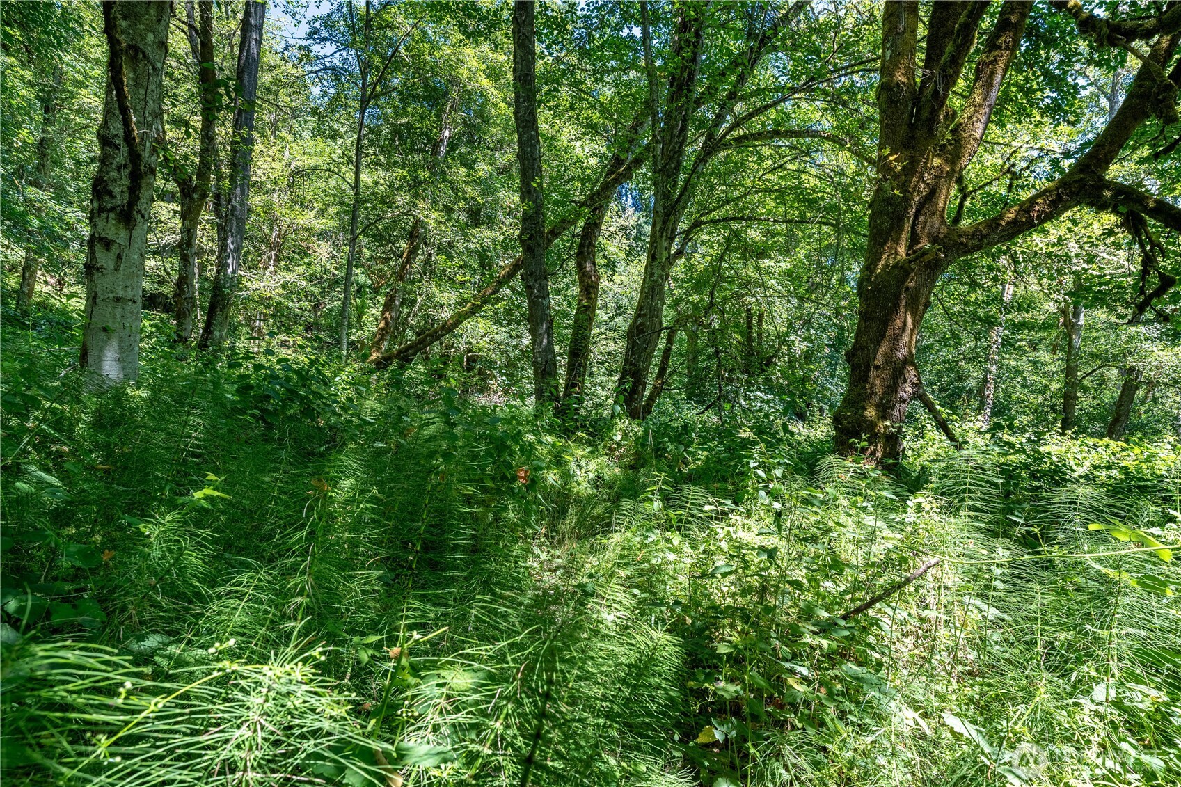 9415 SE Goat Trail Road Port Orchard WA 98367