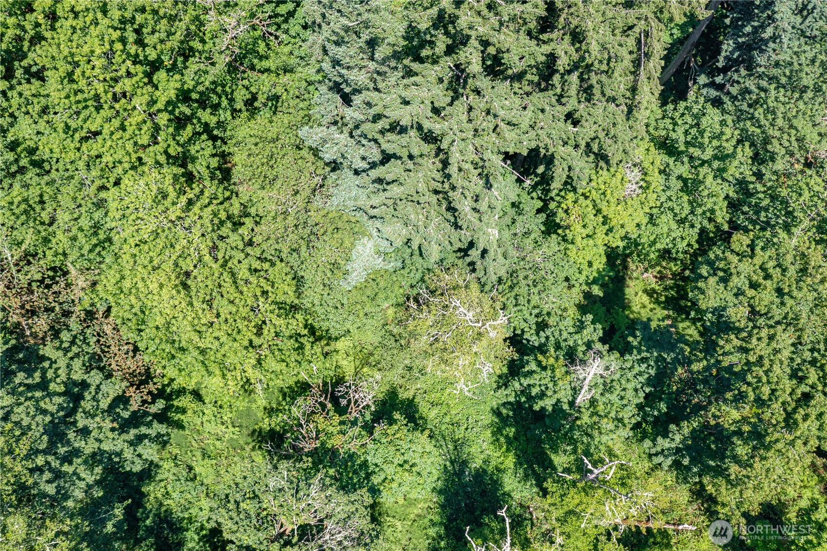 9415 SE Goat Trail Road Port Orchard WA 98367