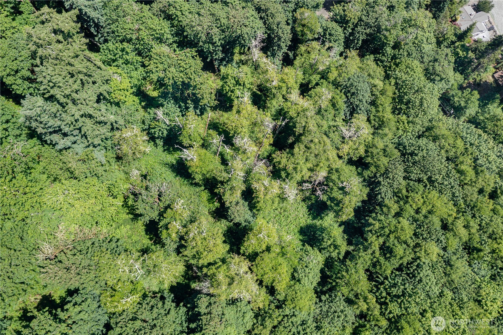 9415 SE Goat Trail Road Port Orchard WA 98367
