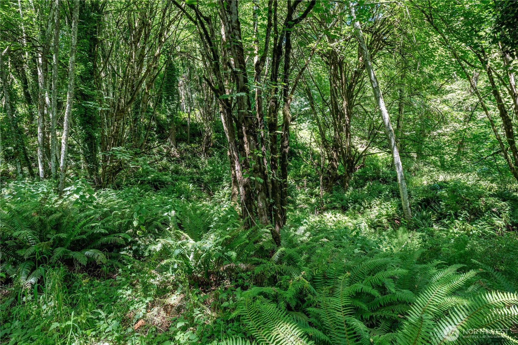 9415 SE Goat Trail Road Port Orchard WA 98367