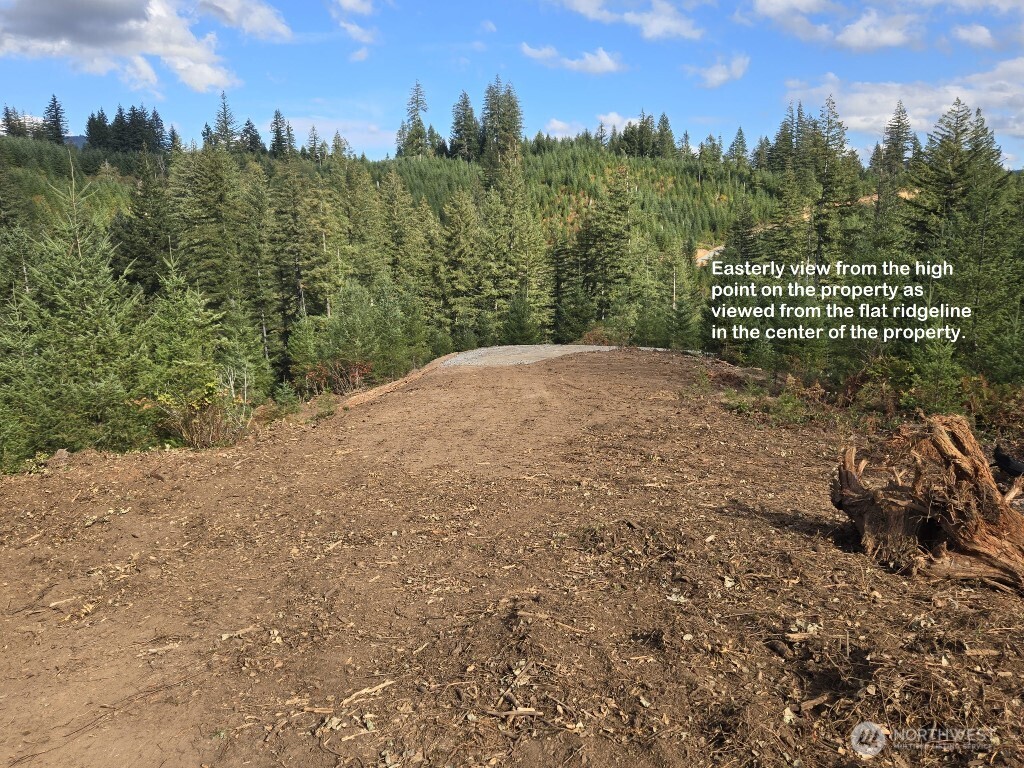 1051 Skamania Mines Road Washougal WA 98671