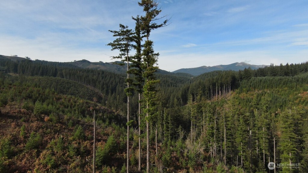 1051 Skamania Mines Road Washougal WA 98671