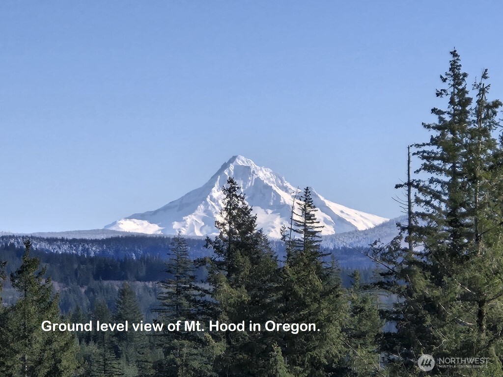 1051 Skamania Mines Road Washougal WA 98671