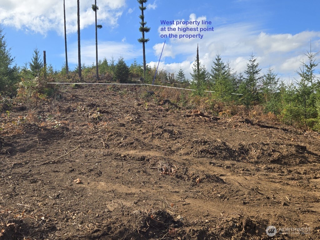 1051 Skamania Mines Road Washougal WA 98671