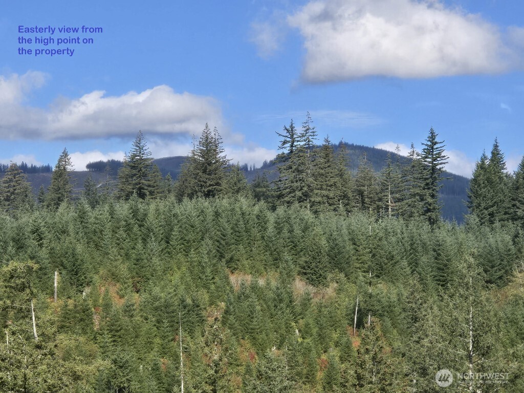 1051 Skamania Mines Road Washougal WA 98671