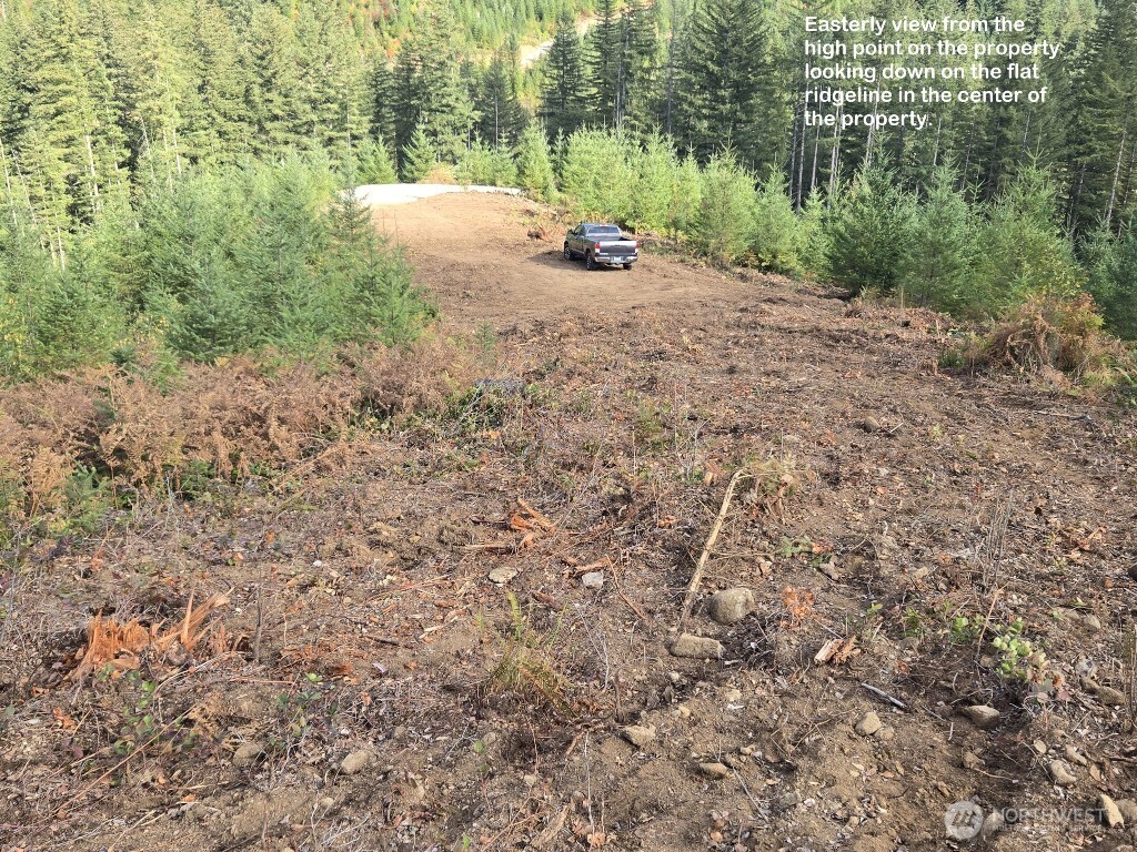1051 Skamania Mines Road Washougal WA 98671