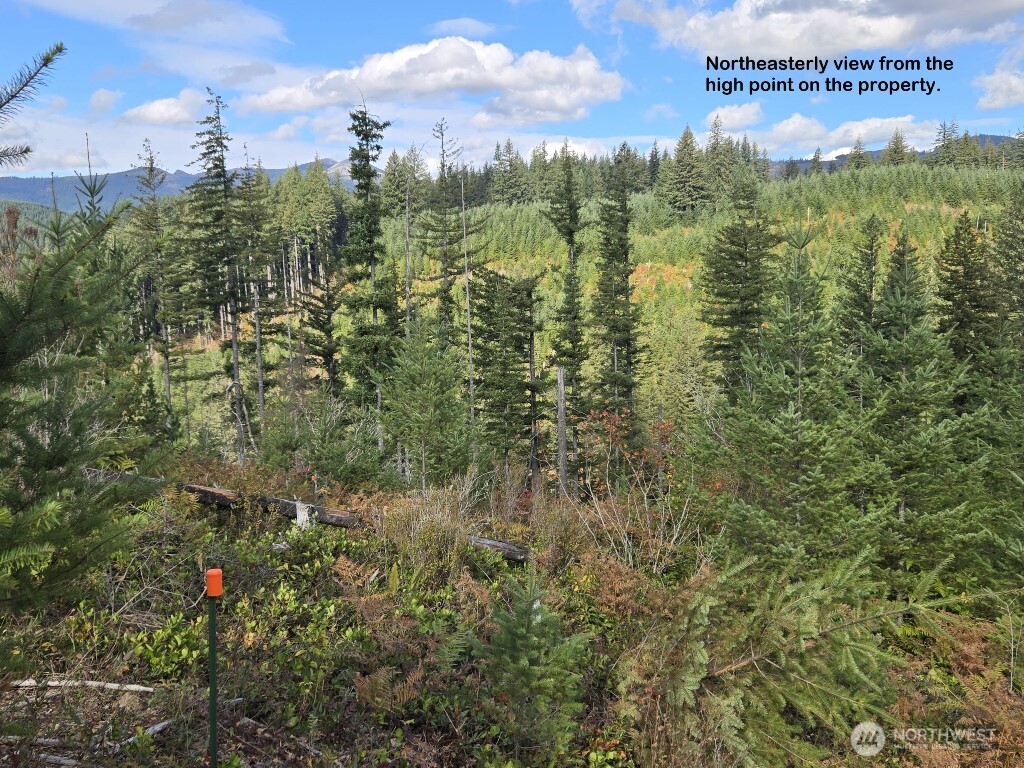 1051 Skamania Mines Road Washougal WA 98671