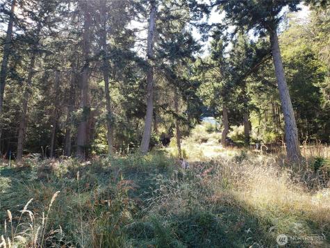 0 Raccoon Point Road Orcas Island WA 98245