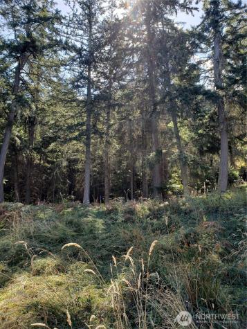 0 Raccoon Point Road Orcas Island WA 98245