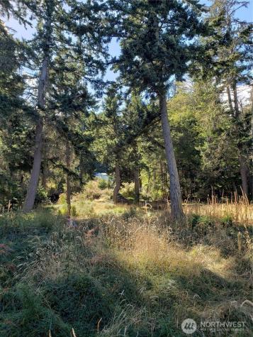0 Raccoon Point Road Orcas Island WA 98245