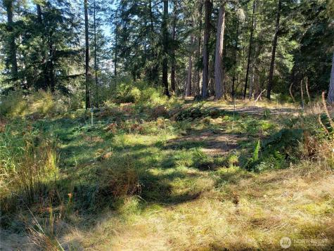 0 Raccoon Point Road Orcas Island WA 98245