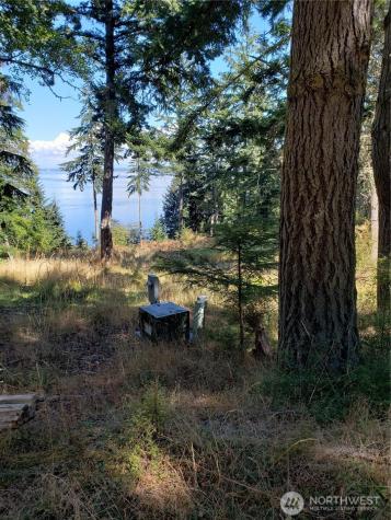 0 Raccoon Point Road Orcas Island WA 98245