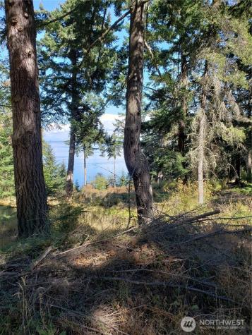 0 Raccoon Point Road Orcas Island WA 98245