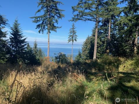 0 Raccoon Point Road Orcas Island WA 98245