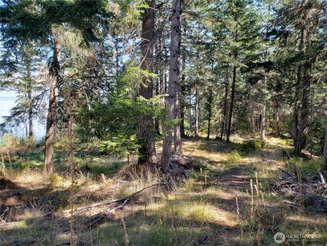 0 Raccoon Point Road Orcas Island WA 98245