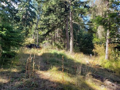 0 Raccoon Point Road Orcas Island WA 98245