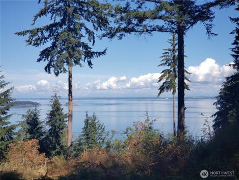 0 Raccoon Point Road Orcas Island WA 98245
