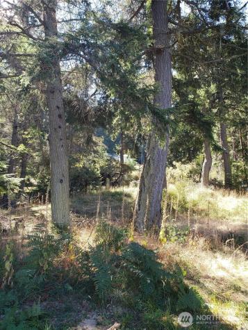 0 Raccoon Point Road Orcas Island WA 98245