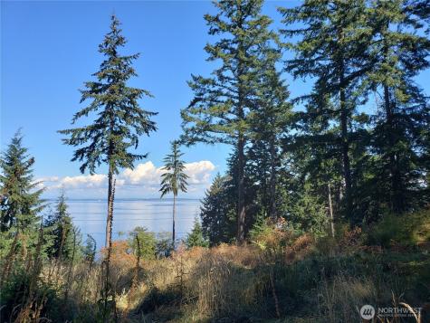 0 Raccoon Point Road Orcas Island WA 98245